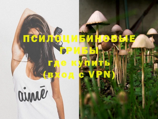 PSILOCYBIN Вяземский