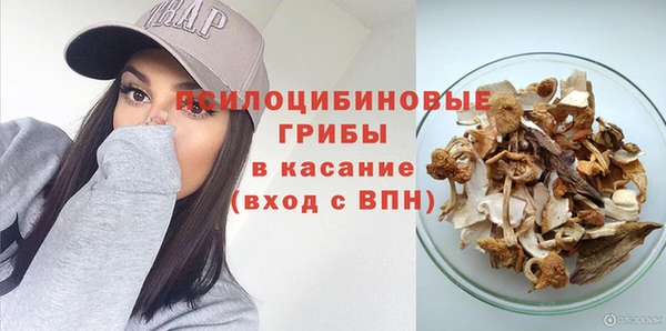 spice Вязники